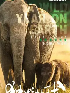 狂野地球 A.Wild.Year.on.Earth.2020.WEB-DL.4k.H265.AAC.2Audio-HDSWEB