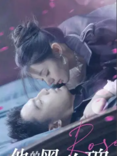 短剧《他的黑玫瑰又疯又娇》(81集) 网盘在线观看