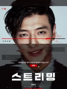 流播 스트리밍 2025 Streaming