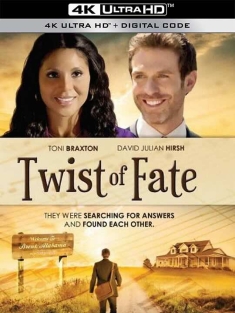 Twist of Faith (2013)