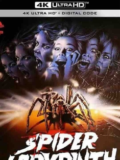 蜘蛛迷宫 Il nido del ragno (1988) / The Spider Labyrinth / 4K电影下载 / The.Spider.Labyrinth.1988.4K.HDR.2160p.BDRemux Ita Eng x265-NAHOM