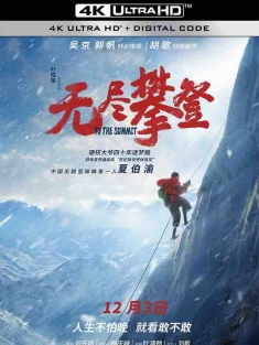 无尽攀登 (2021) / To the Summit / 4K纪录片下载 / To.the.Summit.2021.2160p.WEB-DL.H265.AAC