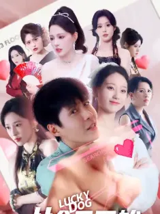 从今天开始做男神（85集）