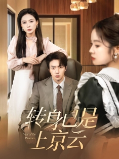 《转身已是上京云》短剧高清全集免费在线观看播放完整版