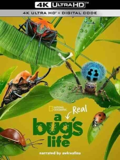 虫虫历险记 A Real Bug's Life (2024) / 虫虫危机 / 真实虫虫危机 / 4K记录片下载 / A.Real.Bugs.Life.S01.2024.2160p.HQ.WEB-DL.H265.AAC.2Audio