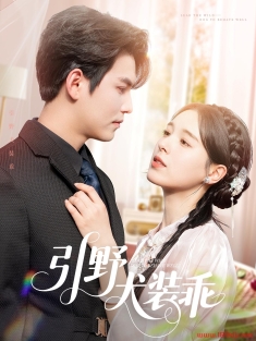 《引野犬装乖》短剧高清全集免费在线观看播放完整版