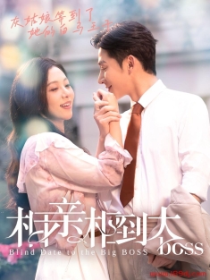 《相亲相到大boss》短剧高清全集免费在线观看播放完整版