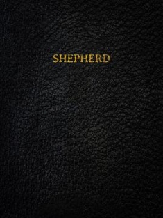 牧羊人 The Shepherd (2023) / 4K电影下载 / The.Shepherd.2023.2160p.Dolby.Vision.And.HDR10.Multi.Sub.DDP5.1.Atmos.DV.x265.MP4-BEN.THE.MEN