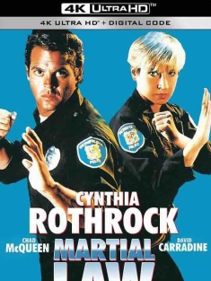 卧底飞龙 Martial Law (1991) / 特别突击队 / 4K电影下载 / Martial.Law.II.Undercover.1991.2160p.BluRay.REMUX.HEVC.SDR.DTS-HD.MA.2.0-FGT