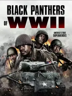 二战黑豹 Black Panthers of WWII 2025