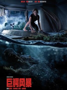 巨鳄风暴 Crawl.2019.2160p.WEB-DL.x265.10bit.HDR.DTS-HD.MA.7.1-SWTYBLZ