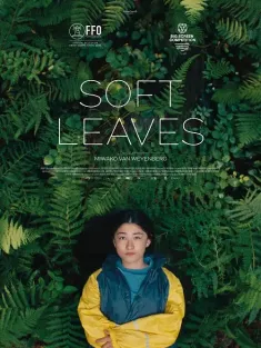 温柔的叶子 Soft Leaves 2025