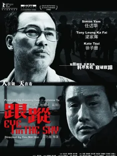 《跟踪 跟蹤 2007》Eye in the Sky