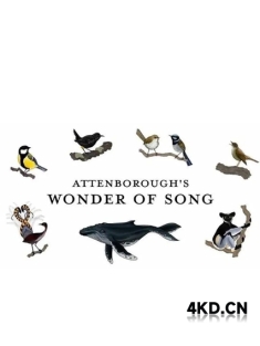 《大卫·爱登堡：歌声奇迹 Attenborough's Wonder of Song 2022》[国语配音+中文字幕]