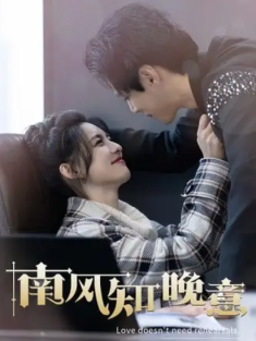 短剧《南风知晚意》(100集) 网盘在线观看