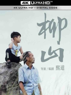 柳山 (2024) HOME/中国大陆/豆瓣: