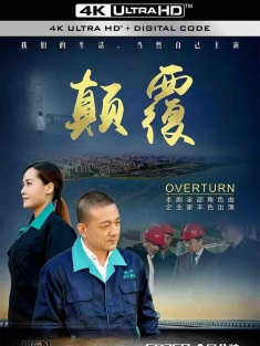 颠覆 (2017)  [中国大陆]豆瓣:
