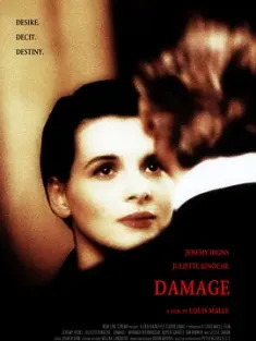 烈火情人 Damage 1992 爱情重伤/毁灭/命中注定 [英国/法国] 豆瓣：7.3