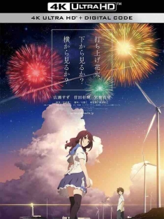 烟花 打ち上げ花火、下から見るか？横から見るか？ (2017) 烟花动画版/烟花，应该和谁看(港)/升空的焰火，从下面看？还是从侧面看？/日本/豆瓣: 5.5