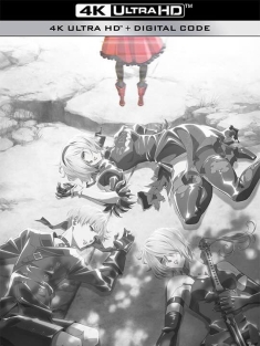 尼尔：自动人形 第二季 NieR:Automata Ver1.1a 第2クール (2024) 尼尔：机械纪元 动画版 第二季/ニーア オートマタ 2期