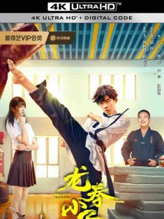 龙拳小子2 (2024) /豆瓣: