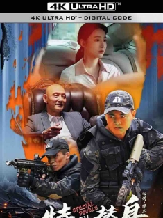 特殊替身 (2024) /中国大陆/豆瓣: