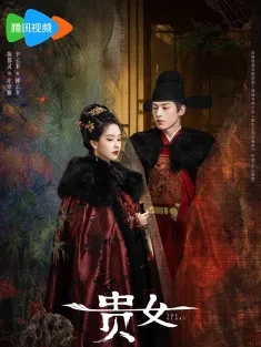 《雁回时 2025》贵女/重生之贵女难求