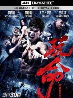 玩命 (2018) 玩命追击/Defying Chase/豆瓣: 4.4