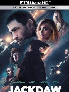 寒鸦 Jackdaw (2023)