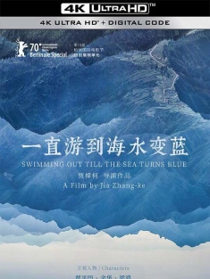 一直游到海水变蓝 (2020) 一个村庄的文学/Swimming out till the Sea Turns Blue/So Close to My Land