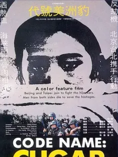 《代号美洲豹 1989》台湾海峡上空指令/Code Name: Cugar