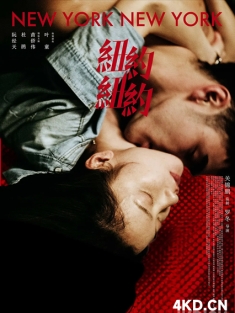 纽约纽约 2016 纽约童话 New York New York 中国大陆 中国香港 豆瓣:5.5