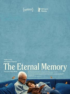 永恒的记忆 La memoria infinita (2023) / The Eternal Memory / 永恆的記憶(港) / 4K电影下载 / 阿里云盘分享 / 永恒的记忆.The.Eternal.Memory.2023.2160p.Paramount+.WEB-DL.DDP.5.1.H.265