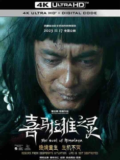 喜马拉雅之灵 (2017) / The Soul of Himalaya / 4K电影下载 / The.Soul.of.Himalaya.2017.2160p.HQ.WEB-DL.H265.60fps.DTS5.1