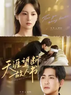 天涯望断故人书（60集）