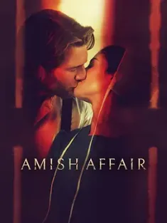阿米什事件 Amish Affair 2024 美国