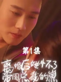 短剧《离婚后她怀了帝国总裁的崽》(84集) 网盘在线观看