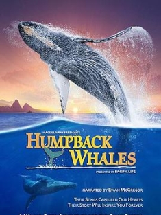 座头鲸 Humpback Whales (2015) / 座头鲸的鸣歌 / 4K纪录片下载 / 阿里云盘分享 / Humpback.Whales.2015.DOCU.2160p.BluRay.REMUX.HEVC.HDR.DTS-HD.MA.TrueHD.7.1.Atmos-4KHDR世界