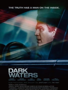 黑水 Dark.Waters.2019.2160p.AMZN.WEB-DL.x265.10bit.HDR.DTS-HD.MA.5.1-SWTYBLZ