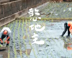 憨地主 (2022) /中国台湾/豆瓣: