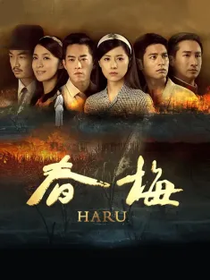 春梅 2015