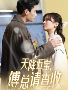 短剧《天降五宝，傅总请查收》(82集) 网盘在线观看