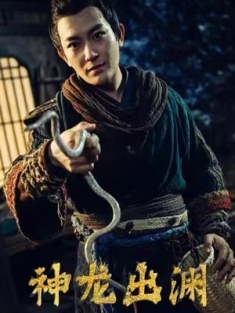 短剧《神龙出渊》(65集) 网盘在线观看