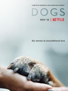 爱犬情深 第一季 Dogs Season 1 (2018) / 挚狗伴我行(台) / 犬无二心(港) / Dogs S01 2160p HDR Netflix WEBRip DD+ Atmos 5.1 x265-TrollUHD（阿里云盘资源）