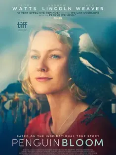 企鹅布鲁姆 Penguin Bloom (2020) 希望鸟(台)/企鹅奇缘(港)/澳大利亚/美国/豆瓣: 7.1