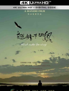 翅膀下的风 (2010) Wind Under The Wings [中国大陆]豆瓣: