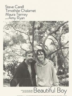 漂亮男孩 / 美丽男孩 Beautiful.Boy.2018.2160p.WEB-DL.HDR.DDP5.1.H265-C...
