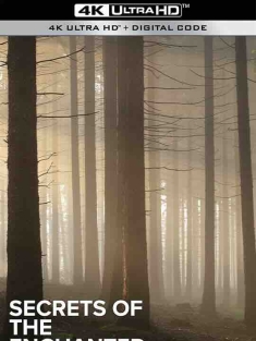 魔法森林的秘密 Secrets of the Enchanted Forests Season 1 (2023) / 4K纪录片下载 / Secrets.of.the.Enchanted.Forests.S01.2023.2160p.UHDTV.H265.AAC[中字]