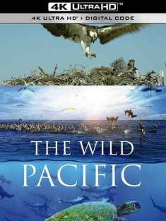 狂野太平洋 The Wild Pacific (2016) / 4K纪录片下载 / The.Wild.Pacific.2015.DOCU.2160p.BluRay.REMUX.HEVC.DTS-HD.MA.5.1-FGT