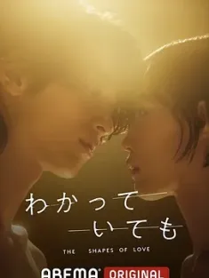 无法抗拒的他 わかっていても the shapes of love (2024) 虽然我知道/Nevertheless/无法抗拒的他 日版 [日本]豆瓣: